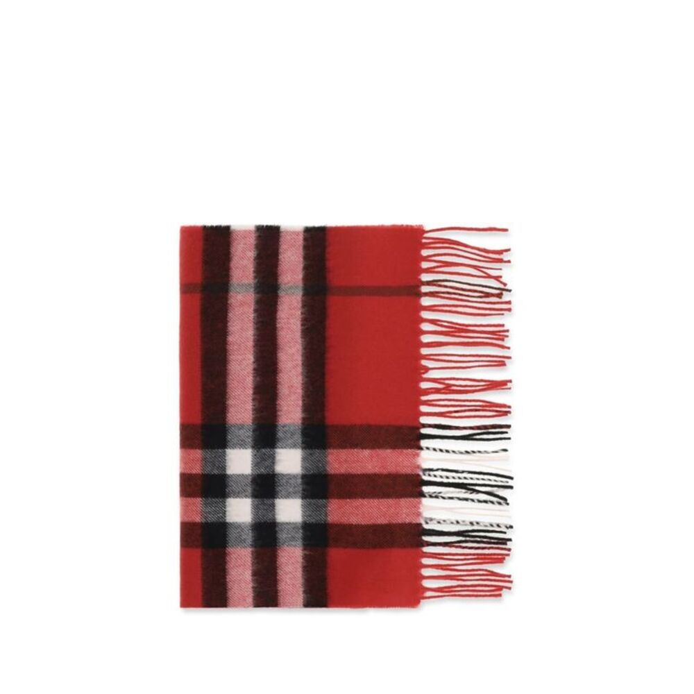 Burberry Multicolor Cashmere Women's Scarf